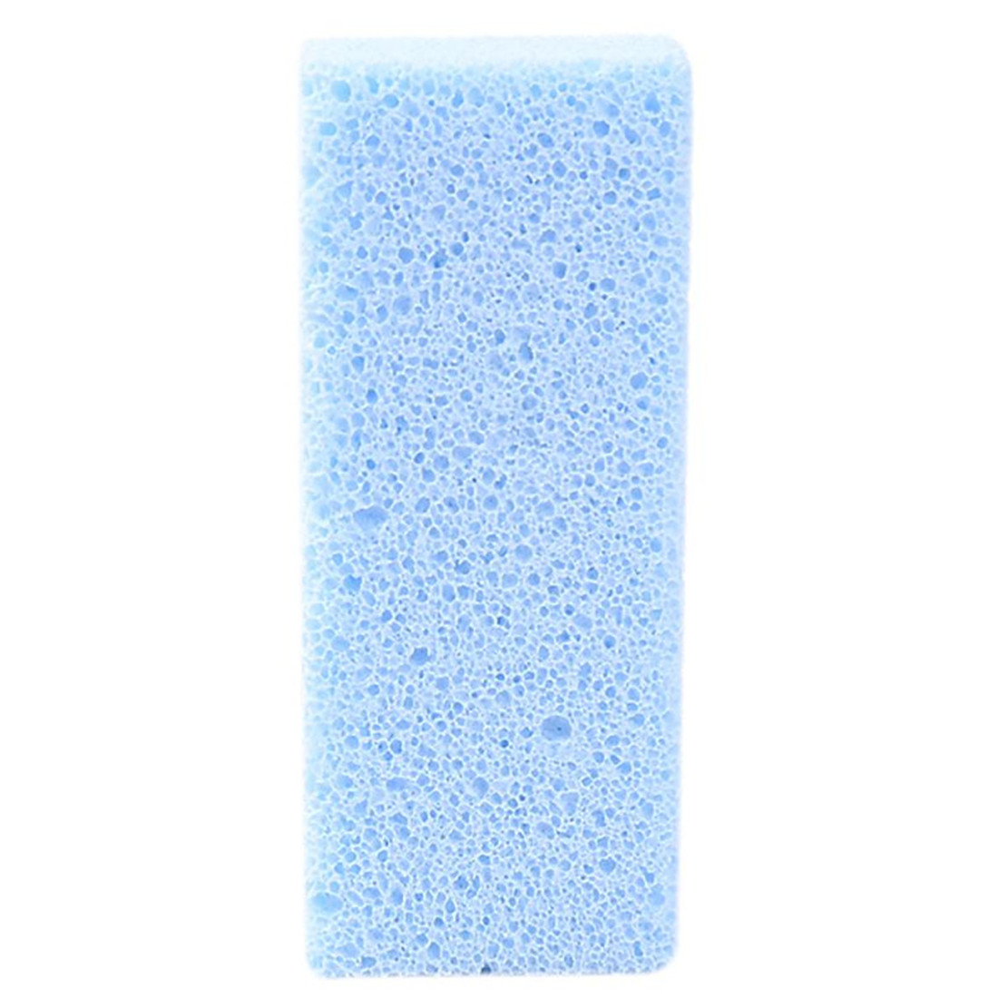 foot pmice stone